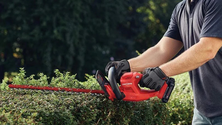 person using hedge trimmer on bushes