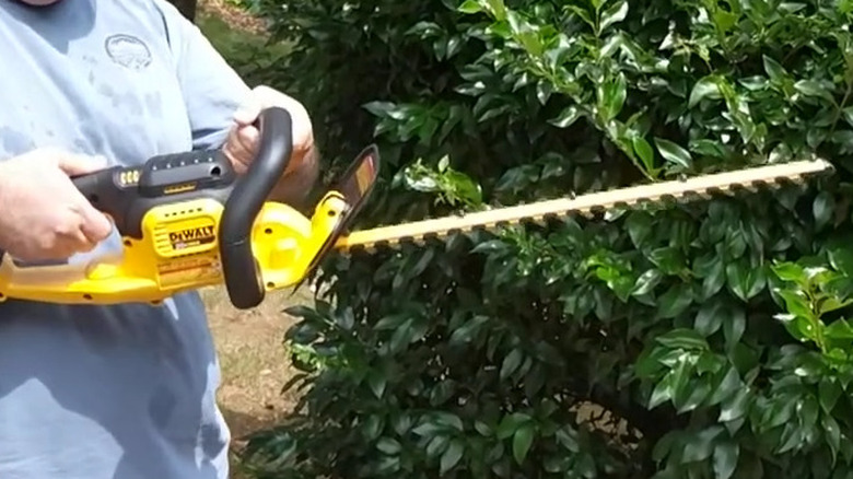 person using hedge trimmer on bushes