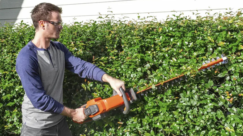 person using hedge trimmer on bushes