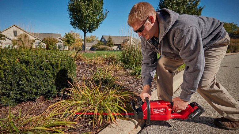 person using hedge trimmer on low plants