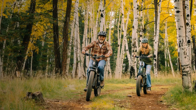 Aventon eBikes in the woods