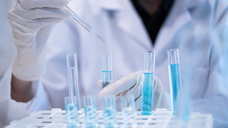 Person in a lab coat piping liquid into test tubes.