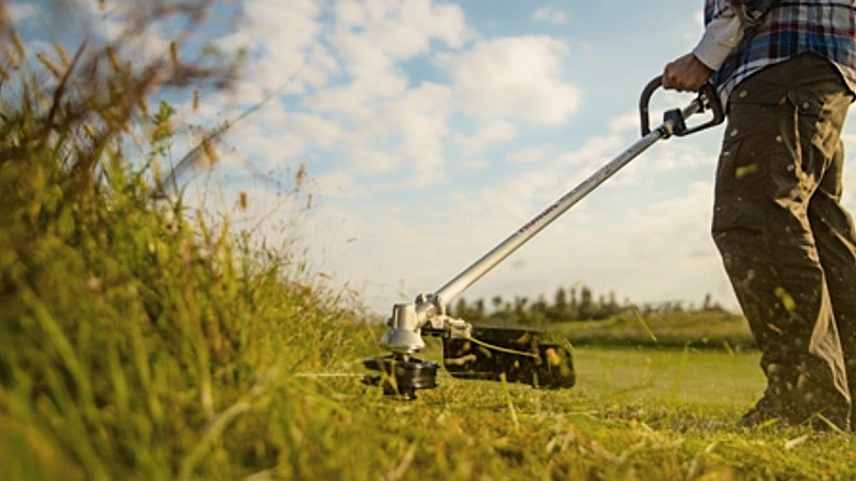 A Honda string trimmer in action.