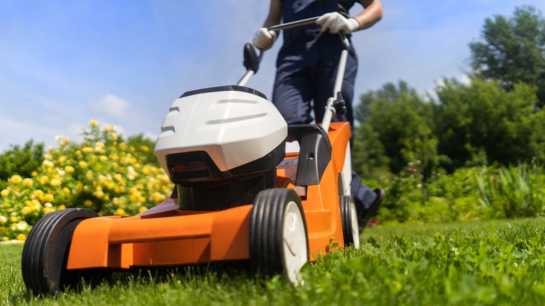 Lawn mowing