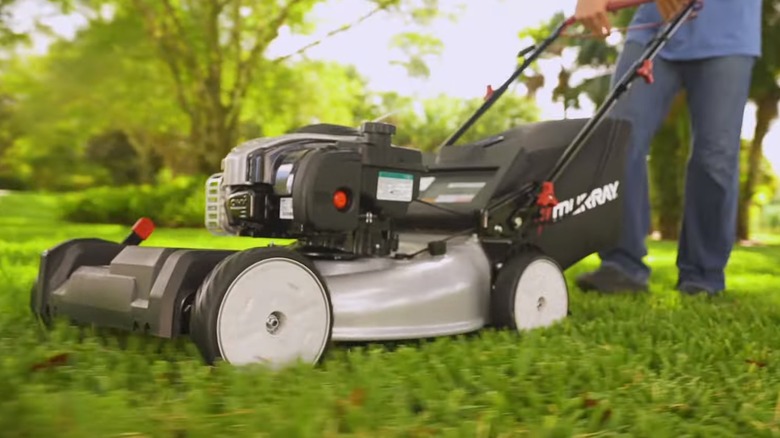 Every Major Lawn Mower Brand Ranked Worst To Best