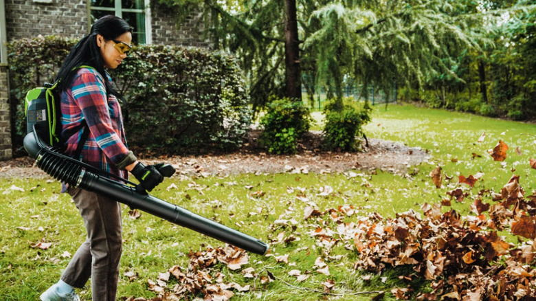 Person using Greenworks leaf blower