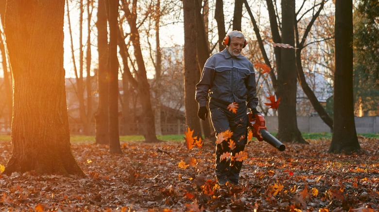 Person using leaf blower in wooded area