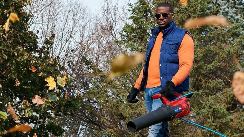 Person using Toro leaf blower