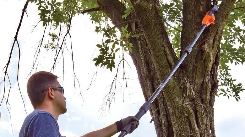 Person using a Black + Decker pole saw