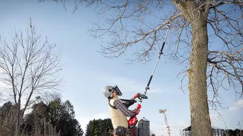 Person using a Milwaukee pole saw