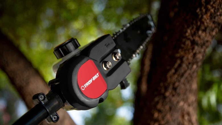 Troy-Bilt pole saw between branches