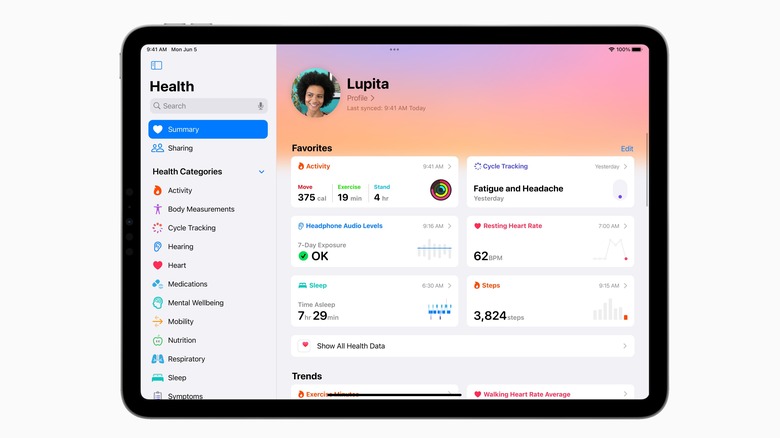  iPadOS 17 Health app