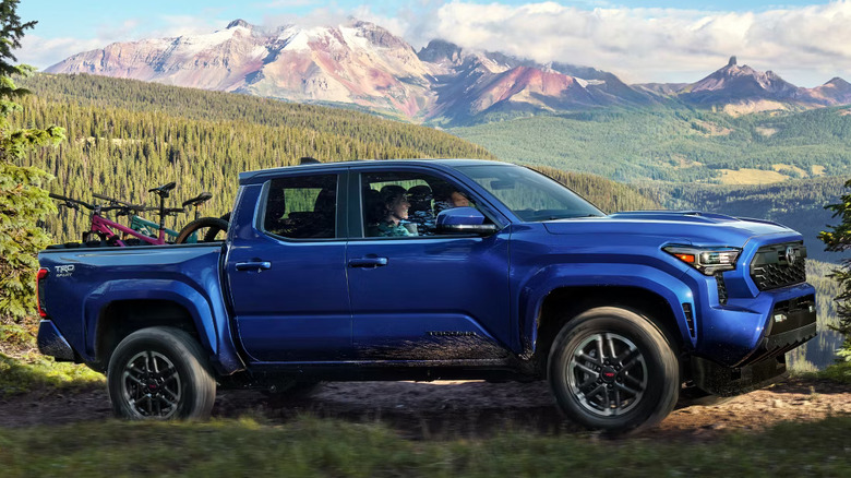 blue 2024 Toyota Tacoma