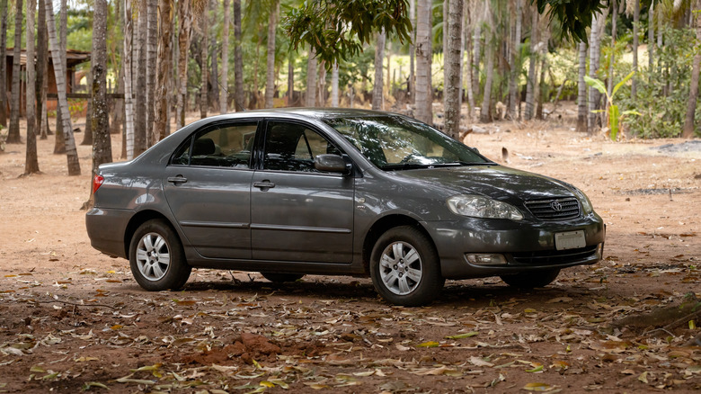 A black Toyota Corolla parked in the woods