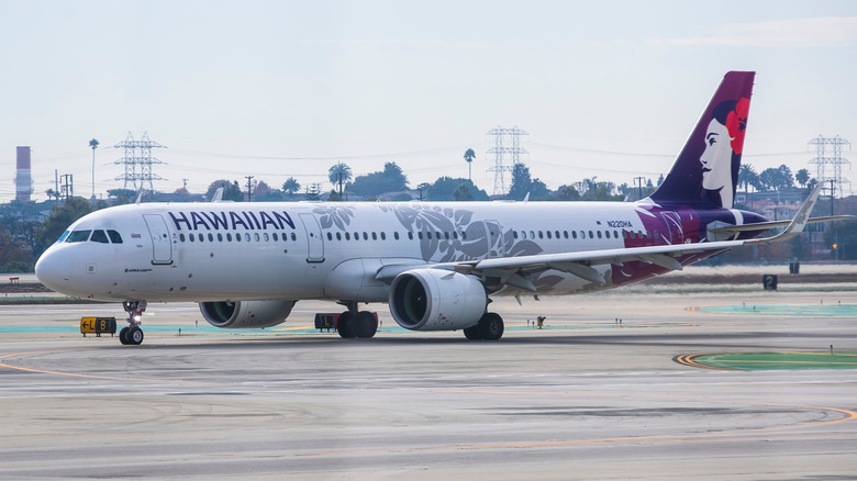 Hawaiian Airlines plane on tarmac