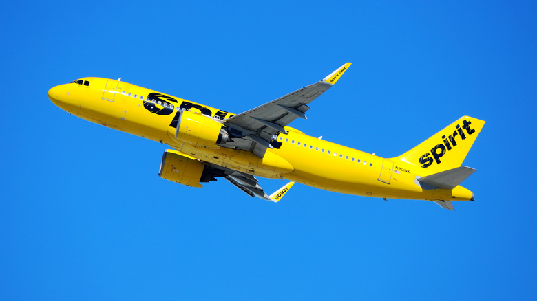 Spirit Airlines airplane in flight