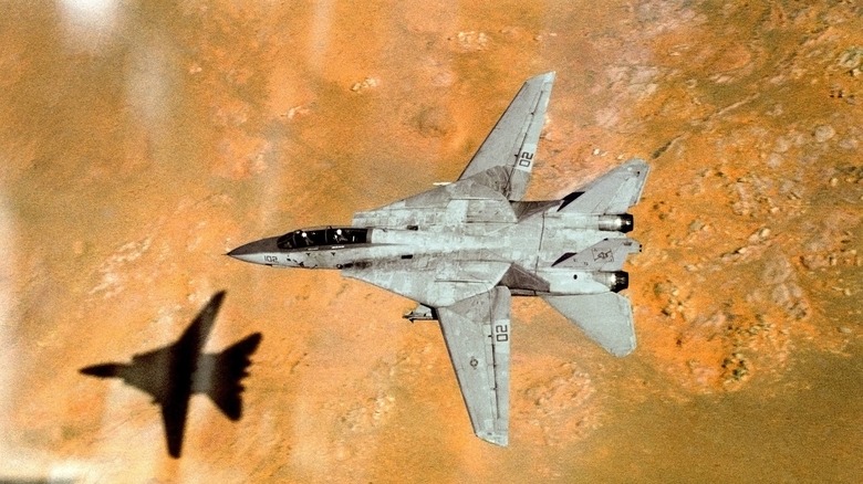 F-14 Tomcat flying