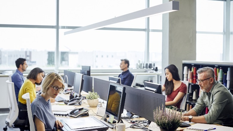 People working on computers in an office