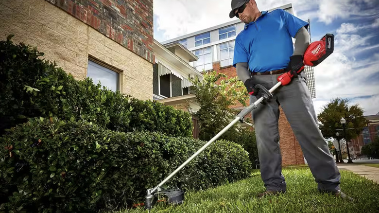 Man using string trimmer on grass