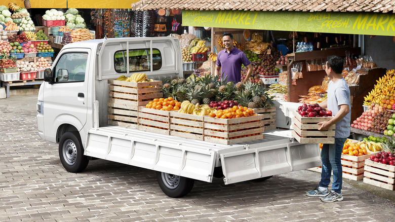 Suzuki Carry loaded