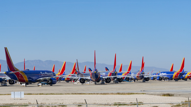 Boeing 737 fleet on the ground