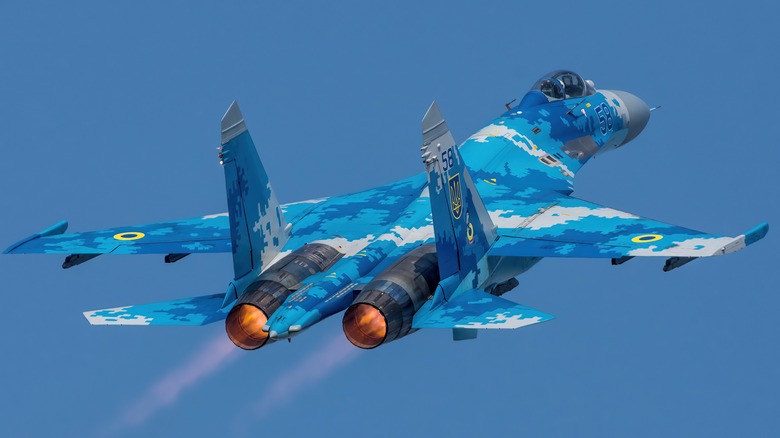 Back view of flying Su-27