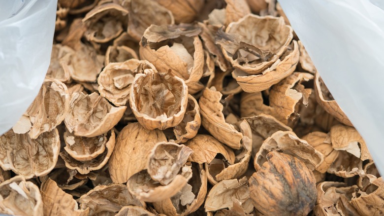 Bag of walnut shells