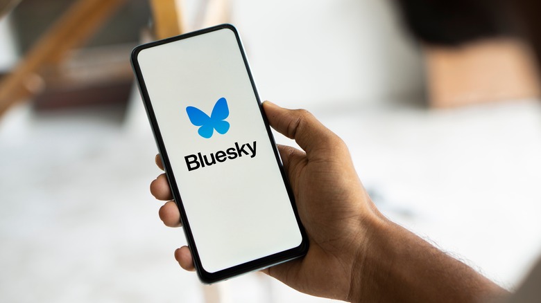 Bluesky logo on smartphone