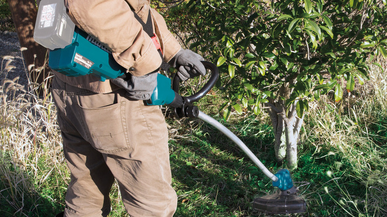 Person cutting grass using a weed eater