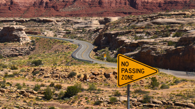 No Passing Zone sign with curvy road in the background