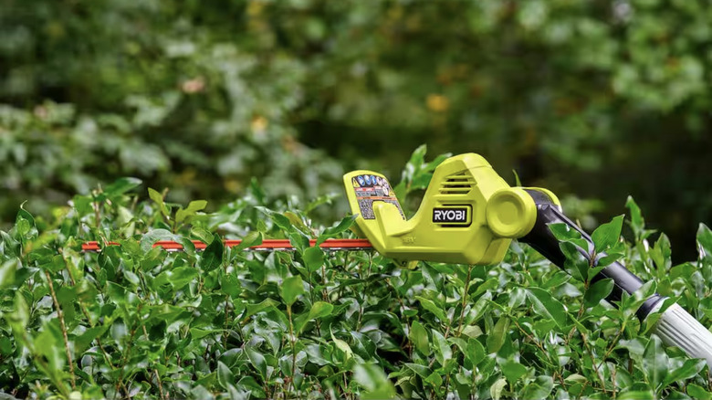 Person trimmer hedges with pole trimmer