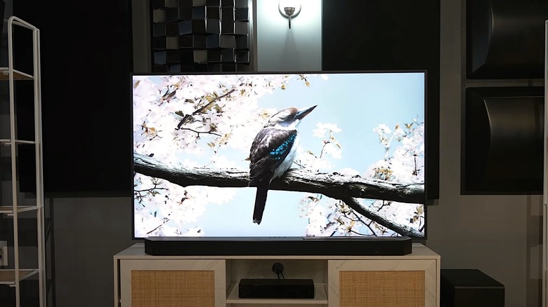 A Samsung TV on an entertainment center with a bird on the screen