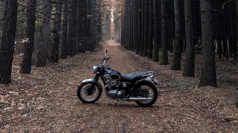 scrambler motorcycle in forest