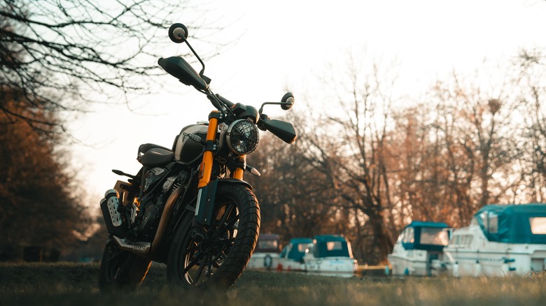 Triumph Scrambler 400 X on street