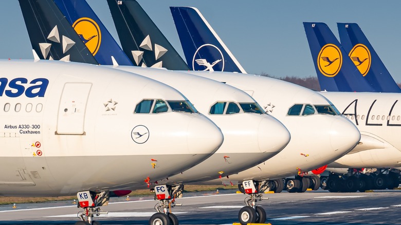 Lineup of Airbus A330-300 planes 