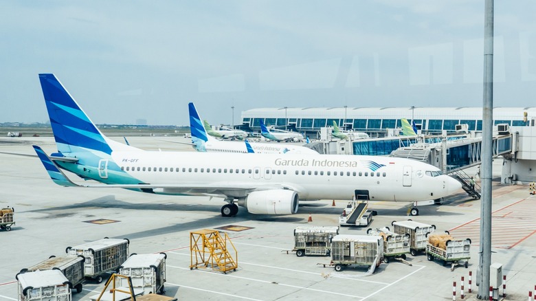 Garuda Indonesia 737NG planes docked