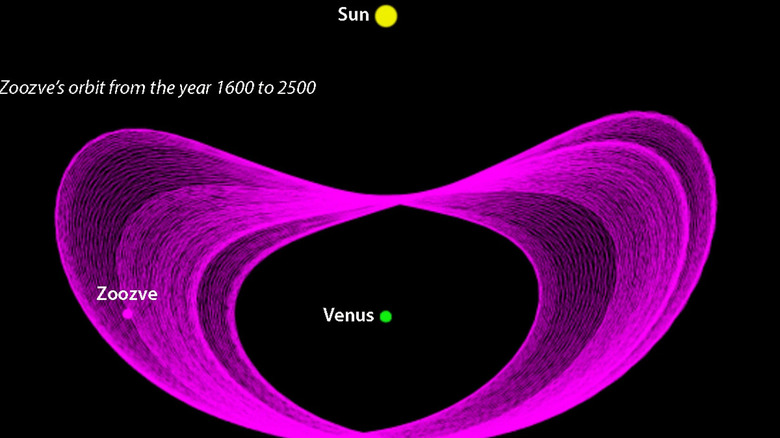 Zoozve's orbit