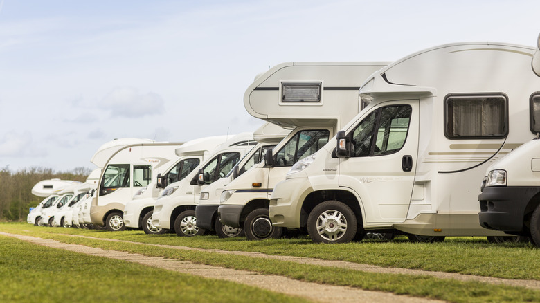 Various camper vans parked in a straight line on Keukenhof's parking lot.