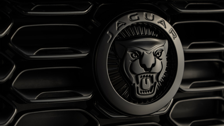 Jaguar logo