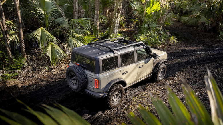 Ford Bronco Everglades