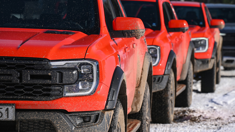 Line of Raptor F-150s