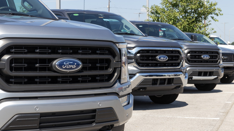 F150 lineup at dealership