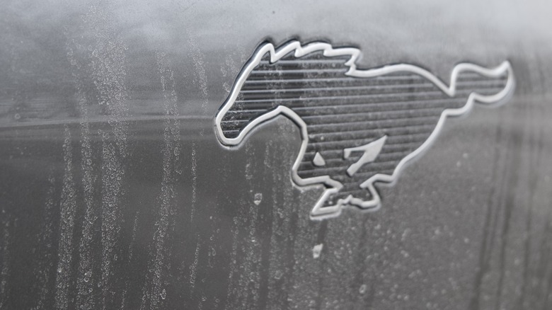 Mustang badge