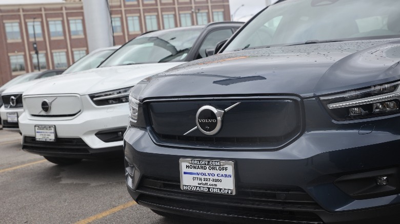 Multiple Volvo SUVs