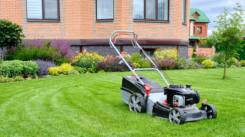 Self-propelled lawn mower in yard