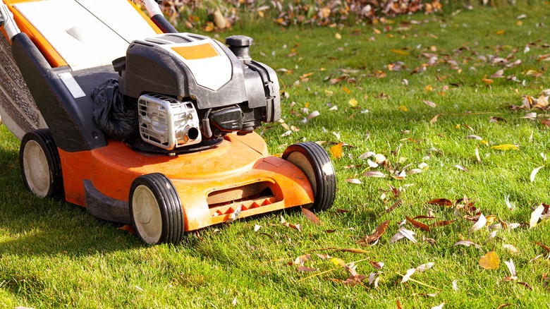 Orange lawn mower in small yard