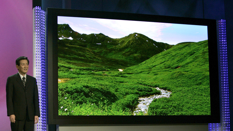 Panasonic 150-inch Plasma TV