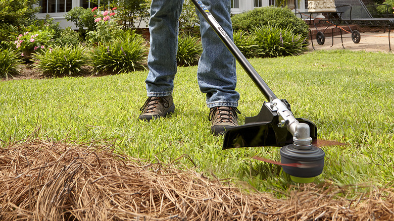 person using gas Ryobi trimmer