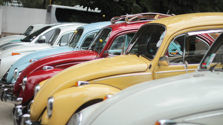 row of vw beetles