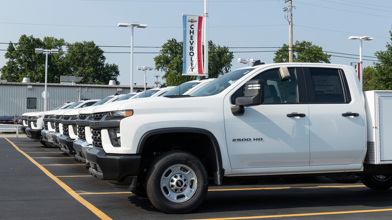 Row of Silverado pickup trucks